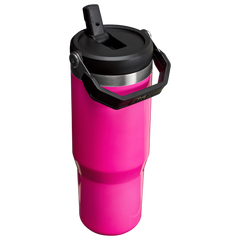 The Neon IceFlow™ Flip Straw Tumbler | 30 OZ - Stanley Create
