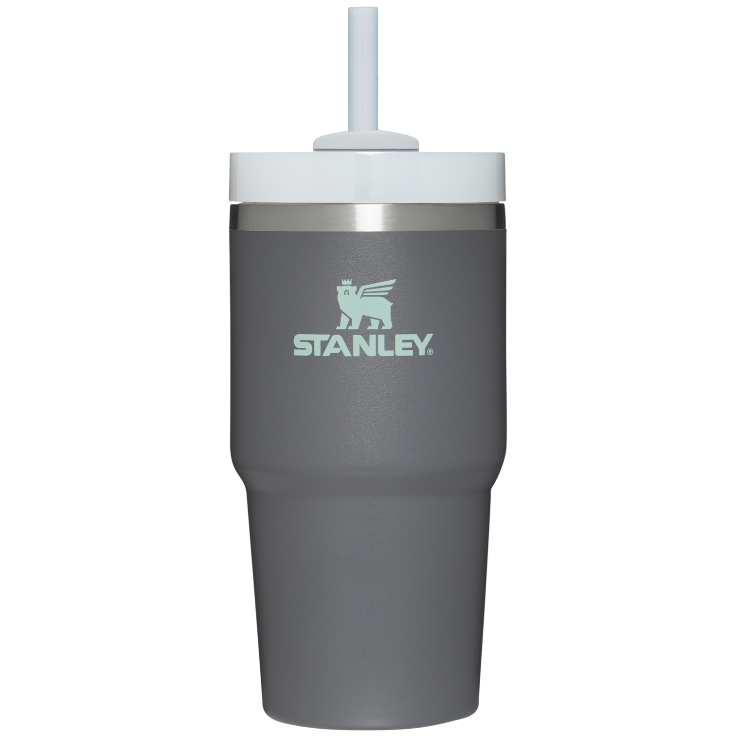 The Quencher H2.0 FlowState™ Tumbler | 20 OZ - Stanley Create